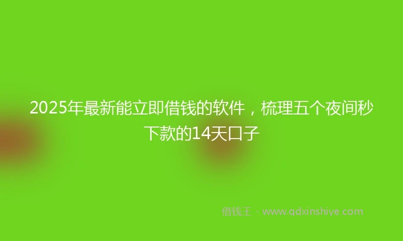 2025年最新能立即借钱的软件，梳理五个夜间秒下款的14天口子