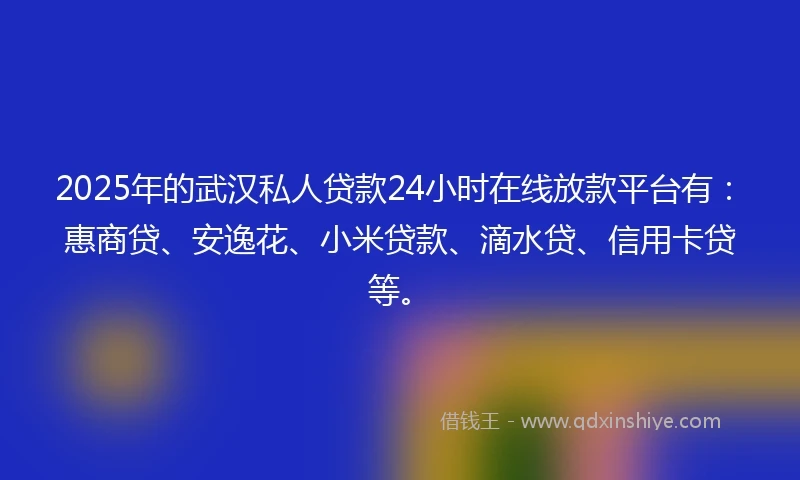 2025年的武汉私人贷款24小时在线放款平台有：惠商贷、安逸花、小米贷款、滴水贷、信用卡贷等。