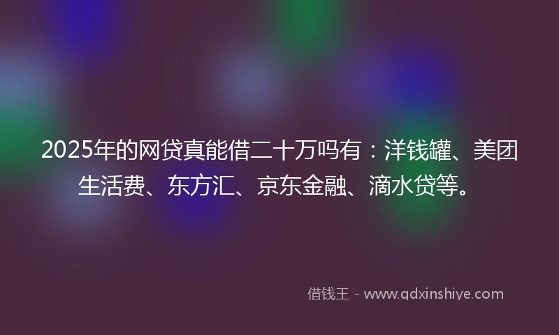 2025年的网贷真能借二十万吗有：洋钱罐、美团生活费、东方汇、京东金融、滴水贷等。