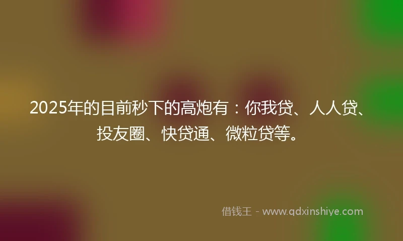 2025年的目前秒下的高炮有：你我贷、人人贷、投友圈、快贷通、微粒贷等。