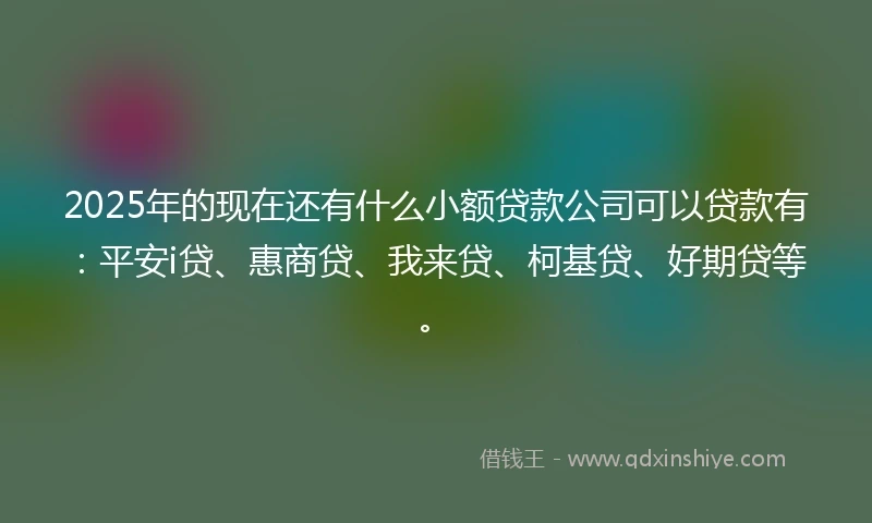 2025年的现在还有什么小额贷款公司可以贷款有：平安i贷、惠商贷、我来贷、柯基贷、好期贷等。