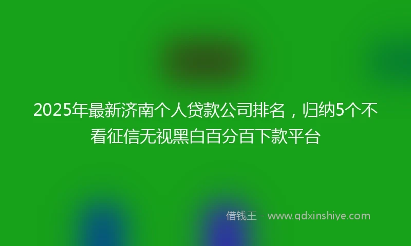 2025年最新济南个人贷款公司排名，归纳5个不看征信无视黑白百分百下款平台