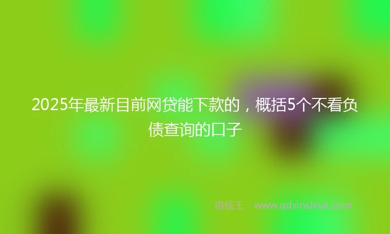 2025年最新目前网贷能下款的，概括5个不看负债查询的口子