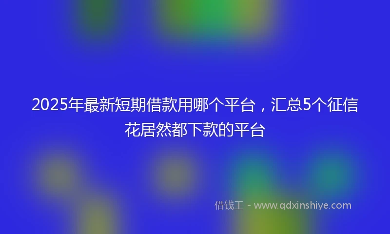2025年最新短期借款用哪个平台，汇总5个征信花居然都下款的平台