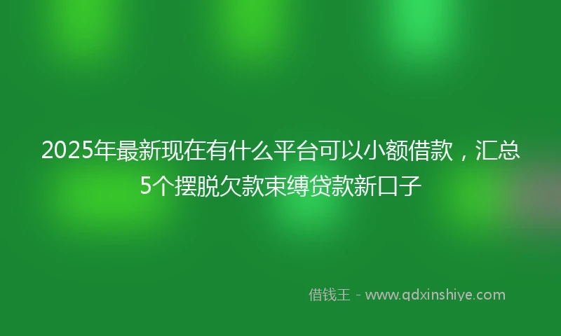 2025年最新现在有什么平台可以小额借款，汇总5个摆脱欠款束缚贷款新口子