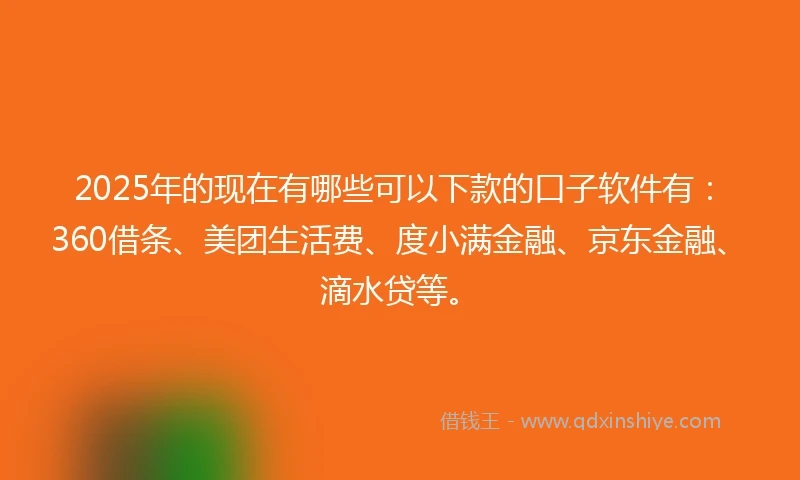 2025年的现在有哪些可以下款的口子软件有：360借条、美团生活费、度小满金融、京东金融、滴水贷等。