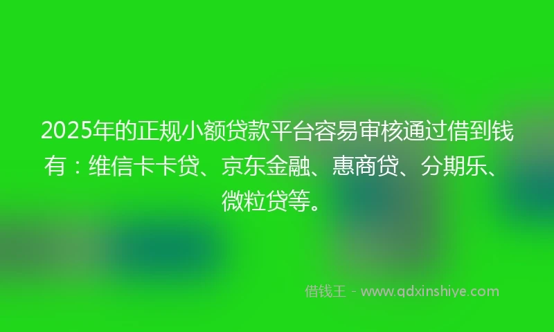 2025年的正规小额贷款平台容易审核通过借到钱有：维信卡卡贷、京东金融、惠商贷、分期乐、微粒贷等。