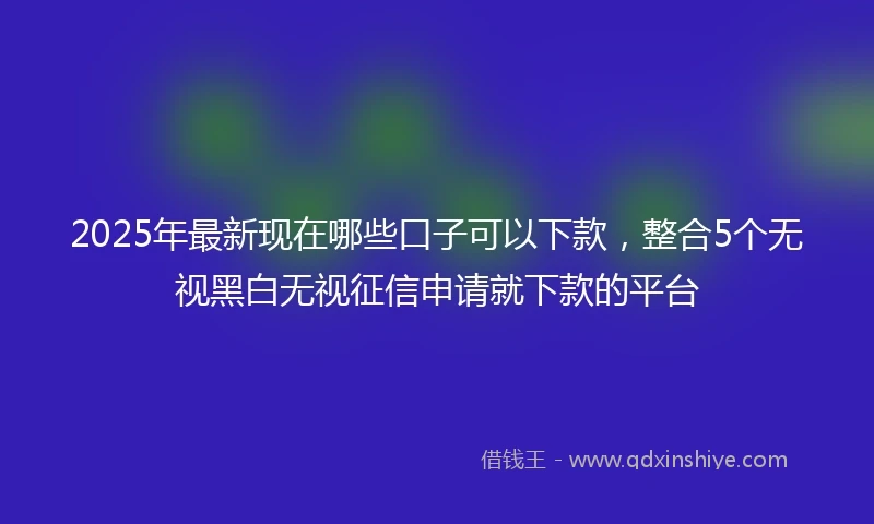 2025年最新现在哪些口子可以下款，整合5个无视黑白无视征信申请就下款的平台