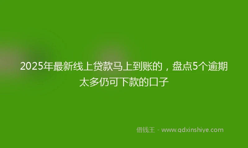 2025年最新线上贷款马上到账的，盘点5个逾期太多仍可下款的口子
