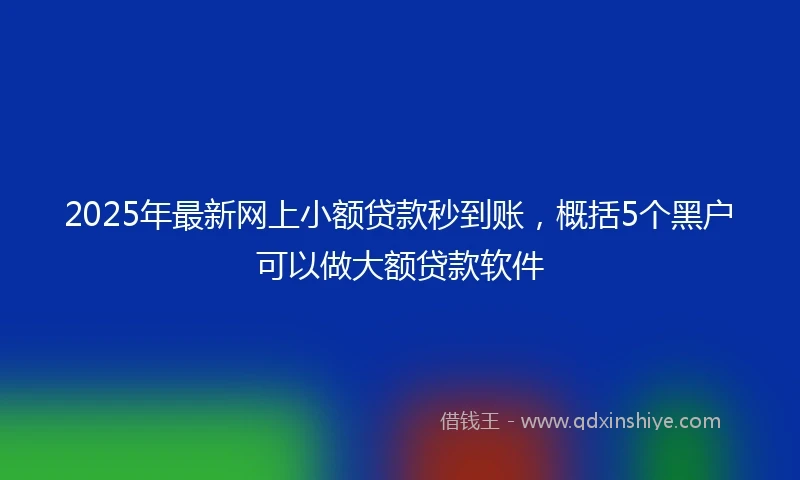 2025年最新网上小额贷款秒到账,概括5个黑户可以做大额贷款软件