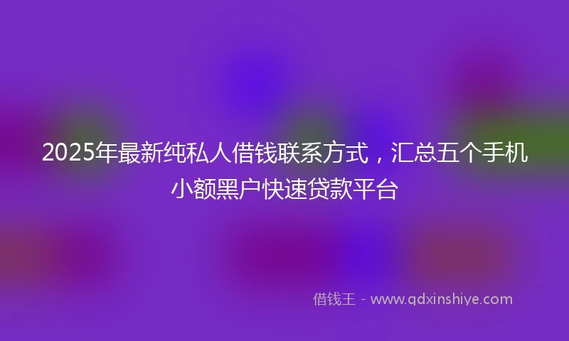 2025年最新纯私人借钱联系方式，汇总五个手机小额黑户快速贷款平台