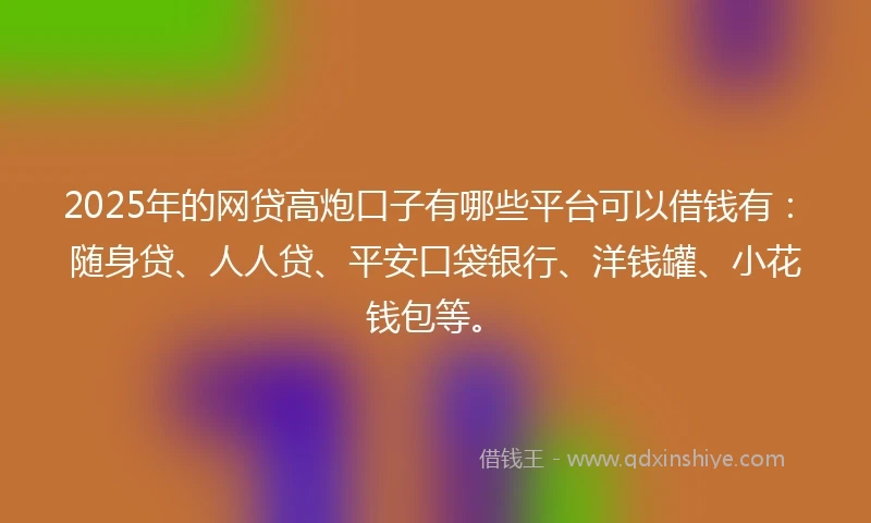 2025年的网贷高炮口子有哪些平台可以借钱有：随身贷、人人贷、平安口袋银行、洋钱罐、小花钱包等。