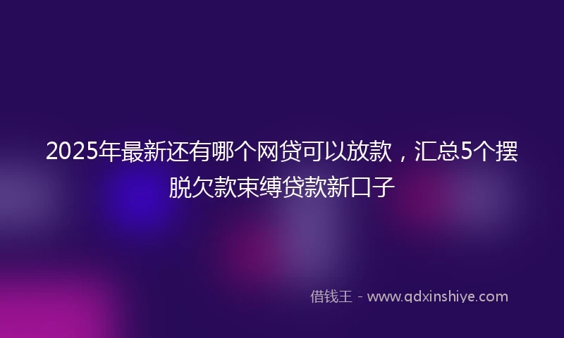 2025年最新还有哪个网贷可以放款,汇总5个摆脱欠款束缚贷款新口子