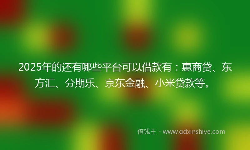 2025年的还有哪些平台可以借款有：惠商贷、东方汇、分期乐、京东金融、小米贷款等。