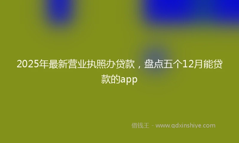 2025年最新营业执照办贷款,盘点五个12月能贷款的app