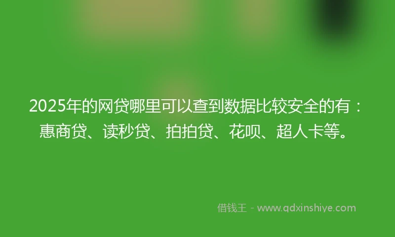 2025年的网贷哪里可以查到数据比较安全的有：惠商贷、读秒贷、拍拍贷、花呗、超人卡等。