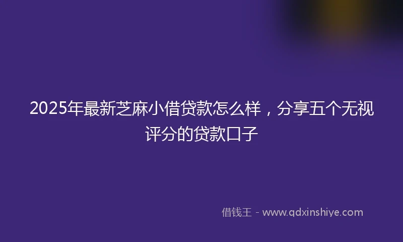 2025年最新芝麻小借贷款怎么样，分享五个无视评分的贷款口子