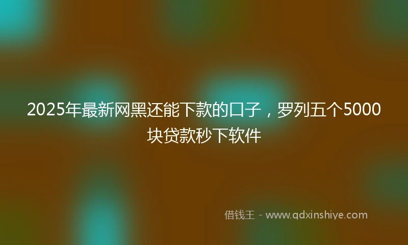 2025年最新网黑还能下款的口子，罗列五个5000块贷款秒下软件