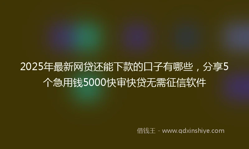 2025年最新网贷还能下款的口子有哪些，分享5个急用钱5000快审快贷无需征信软件