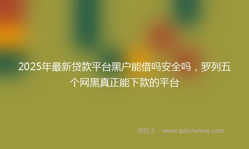 2025年最新贷款平台黑户能借吗安全吗，罗列五个网黑真正能下款的平台