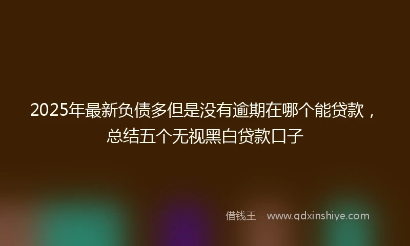 2025年最新负债多但是没有逾期在哪个能贷款，总结五个无视黑白贷款口子
