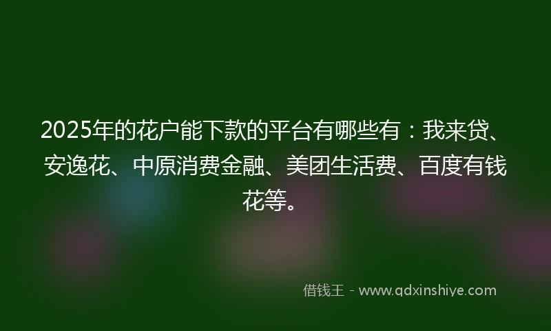 2025年的花户能下款的平台有哪些有：我来贷、安逸花、中原消费金融、美团生活费、百度有钱花等。