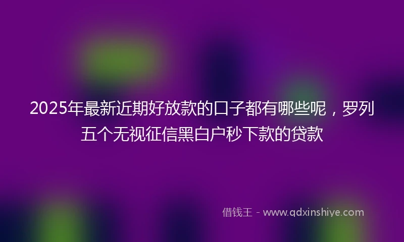 2025年最新近期好放款的口子都有哪些呢，罗列五个无视征信黑白户秒下款的贷款