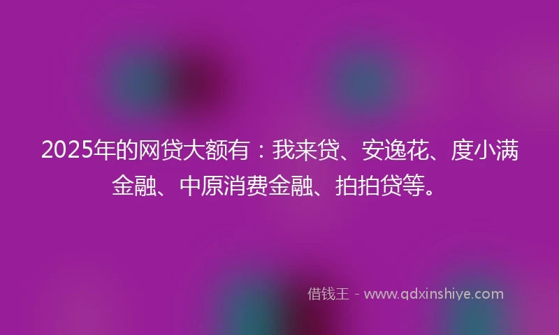 2025年的网贷大额有：我来贷、安逸花、度小满金融、中原消费金融、拍拍贷等。