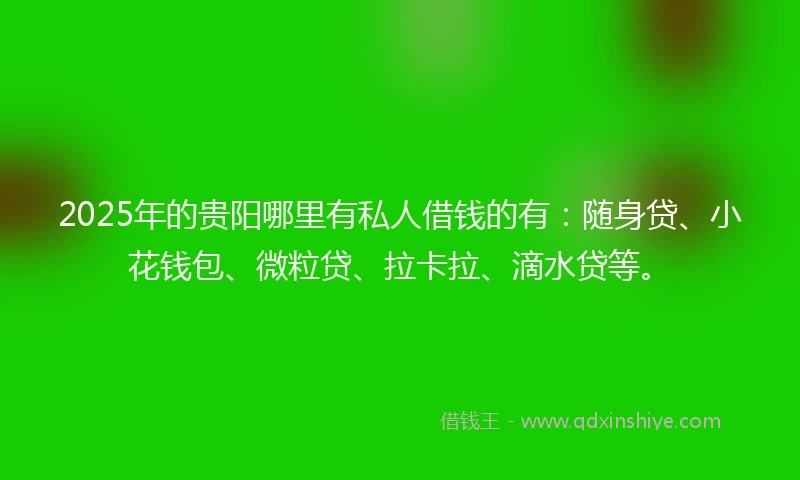 2025年的贵阳哪里有私人借钱的有:随身贷、小花钱包、微粒贷、拉卡拉、滴水贷等。