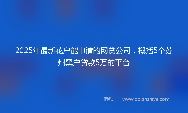 2025年最新花户能申请的网贷公司，概括5个苏州黑户贷款5万的平台