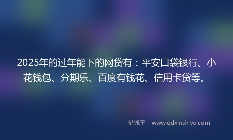 2025年的过年能下的网贷有:平安口袋银行、小花钱包、分期乐、百度有钱花、信用卡贷等。
