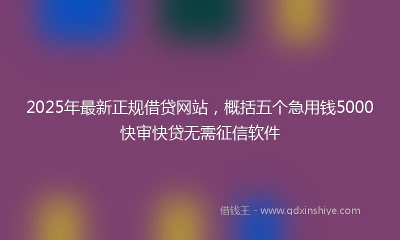 2025年最新正规借贷网站，概括五个急用钱5000快审快贷无需征信软件