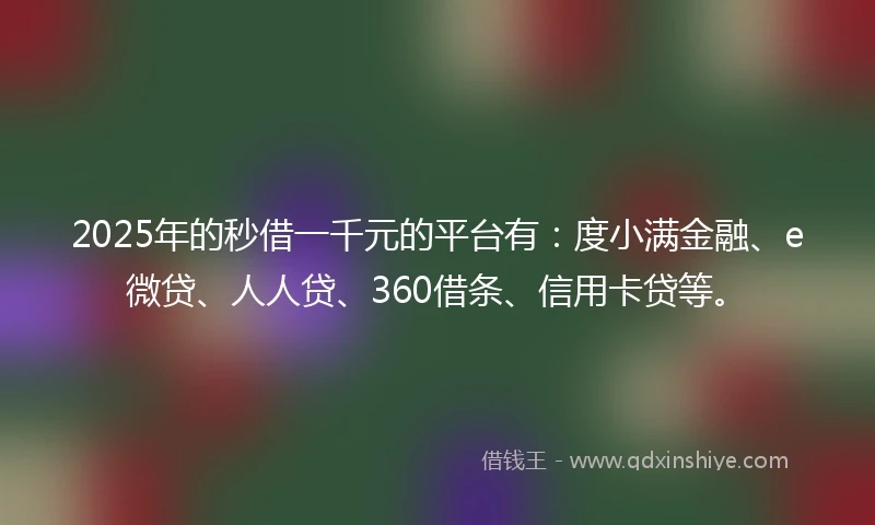 2025年的秒借一千元的平台有：度小满金融、e微贷、人人贷、360借条、信用卡贷等。