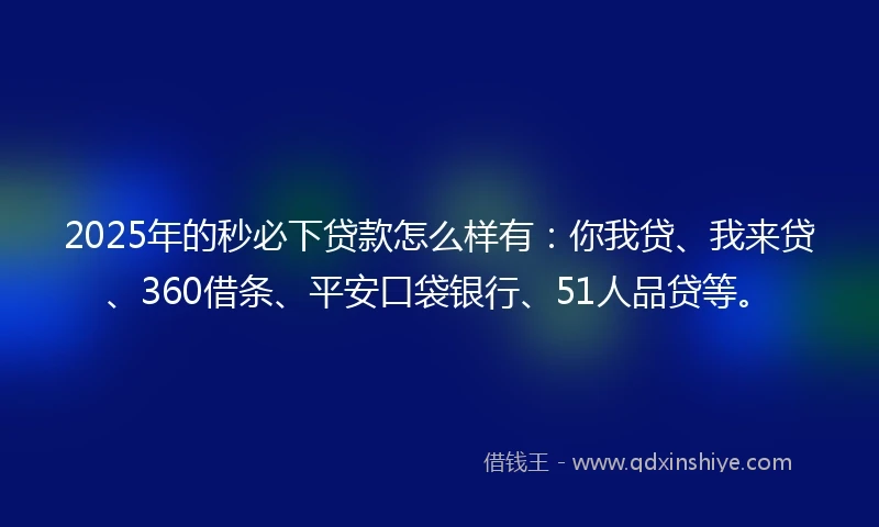 2025年的秒必下贷款怎么样有：你我贷、我来贷、360借条、平安口袋银行、51人品贷等。
