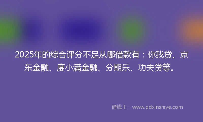 2025年的综合评分不足从哪借款有：你我贷、京东金融、度小满金融、分期乐、功夫贷等。