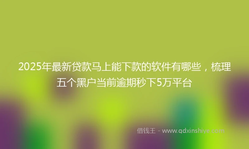 2025年最新贷款马上能下款的软件有哪些，梳理五个黑户当前逾期秒下5万平台