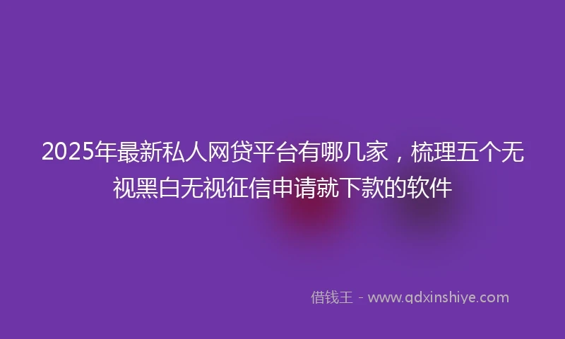 2025年最新私人网贷平台有哪几家，梳理五个无视黑白无视征信申请就下款的软件