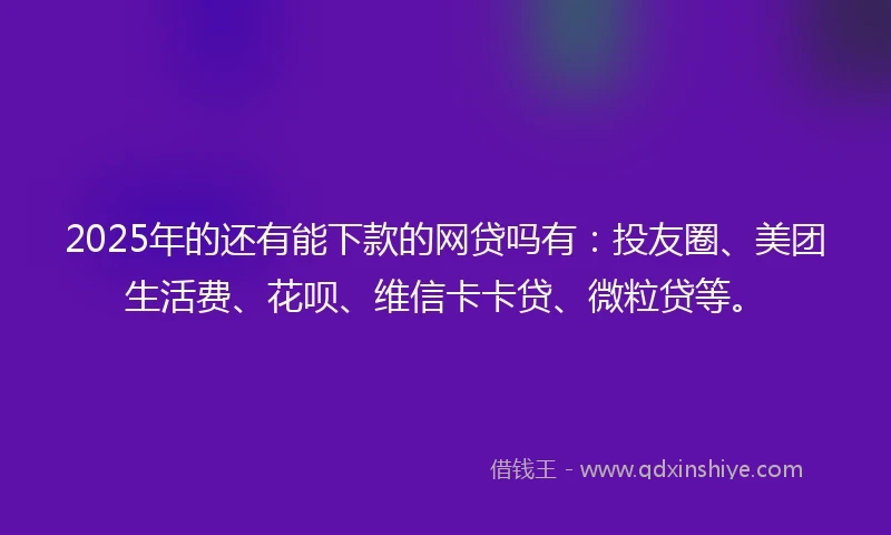 2025年的还有能下款的网贷吗有：投友圈、美团生活费、花呗、维信卡卡贷、微粒贷等。
