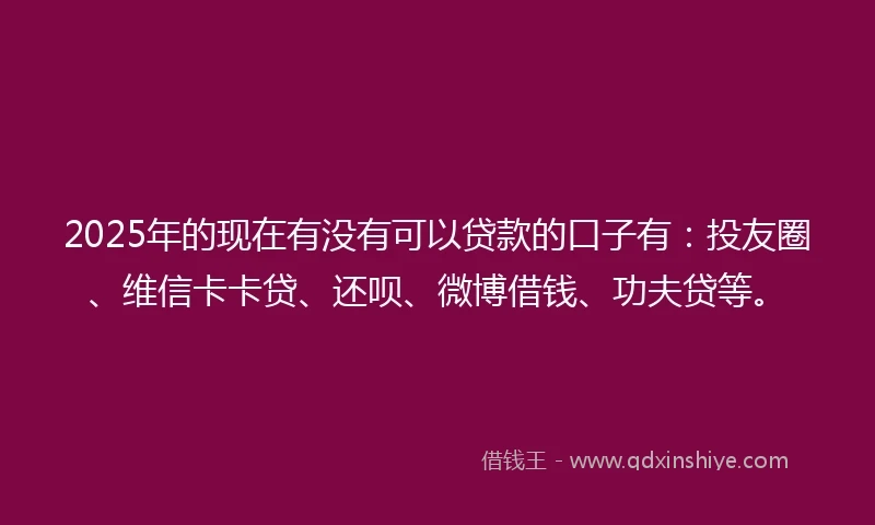 2025年的现在有没有可以贷款的口子有：投友圈、维信卡卡贷、还呗、微博借钱、功夫贷等。