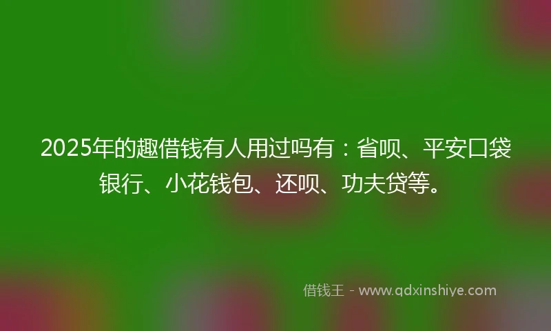 2025年的趣借钱有人用过吗有：省呗、平安口袋银行、小花钱包、还呗、功夫贷等。