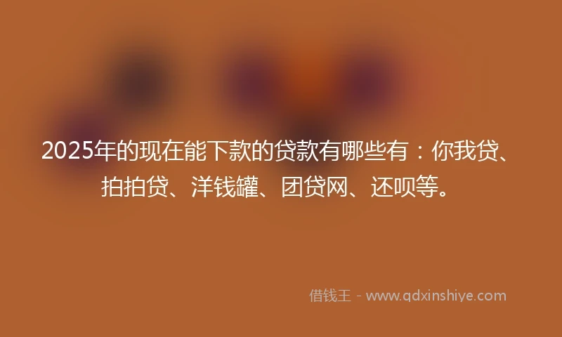 2025年的现在能下款的贷款有哪些有：你我贷、拍拍贷、洋钱罐、团贷网、还呗等。