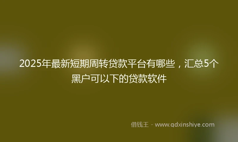 2025年最新短期周转贷款平台有哪些，汇总5个黑户可以下的贷款软件