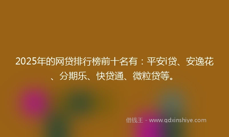 2025年的网贷排行榜前十名有：平安i贷、安逸花、分期乐、快贷通、微粒贷等。