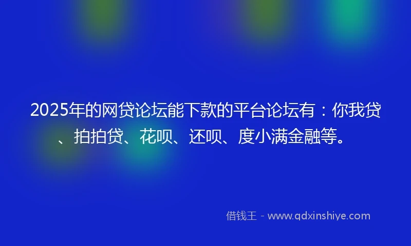 2025年的网贷论坛能下款的平台论坛有：你我贷、拍拍贷、花呗、还呗、度小满金融等。