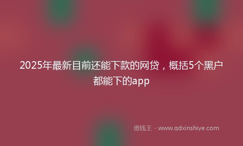 2025年最新目前还能下款的网贷，概括5个黑户都能下的app