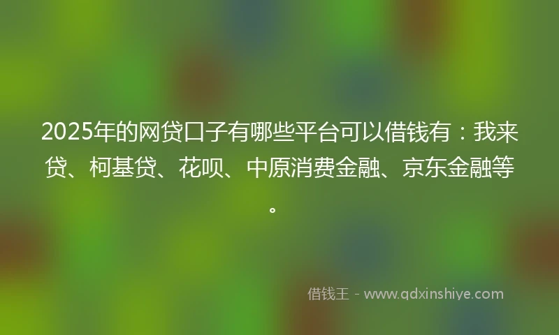 2025年的网贷口子有哪些平台可以借钱有：我来贷、柯基贷、花呗、中原消费金融、京东金融等。