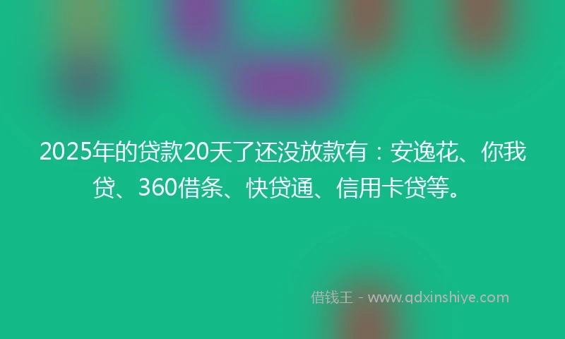 2025年的贷款20天了还没放款有：安逸花、你我贷、360借条、快贷通、信用卡贷等。