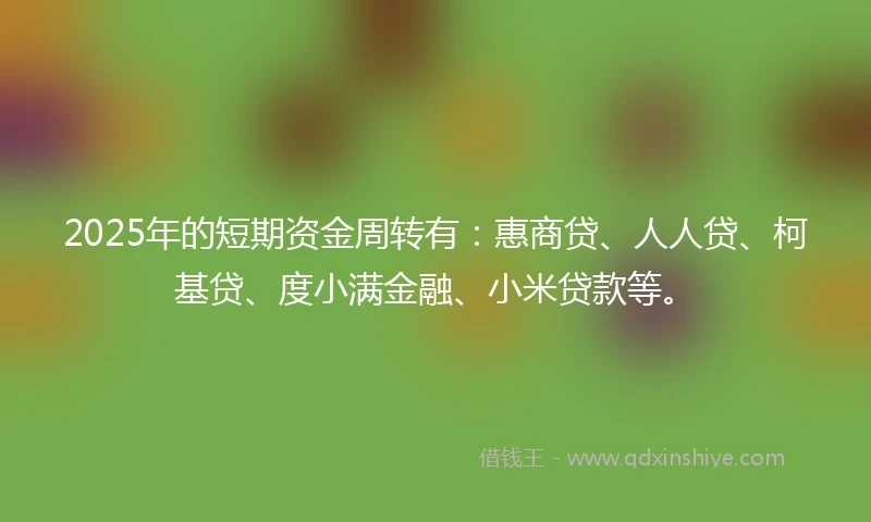 2025年的短期资金周转有：惠商贷、人人贷、柯基贷、度小满金融、小米贷款等。