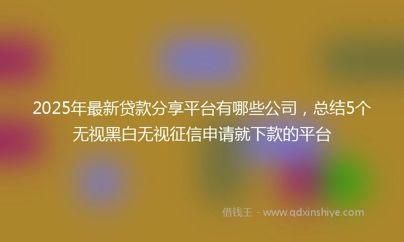 2025年最新贷款分享平台有哪些公司，总结5个无视黑白无视征信申请就下款的平台