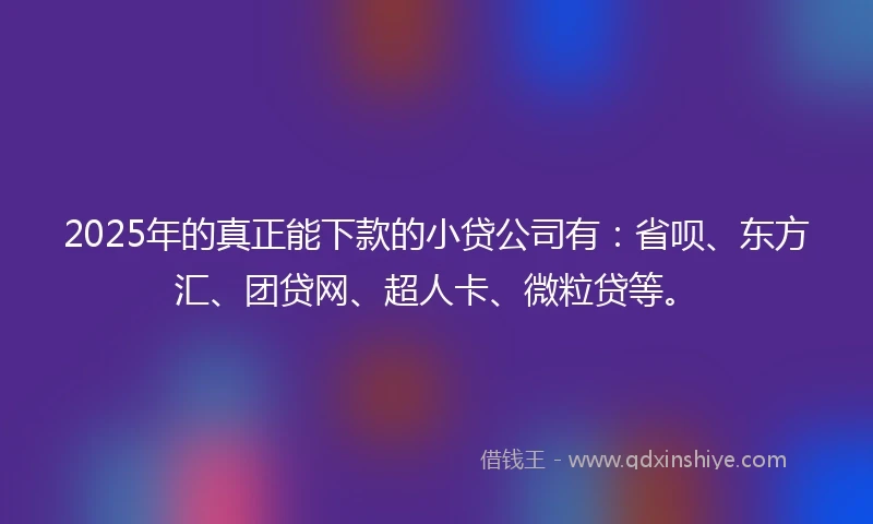 2025年的真正能下款的小贷公司有：省呗、东方汇、团贷网、超人卡、微粒贷等。